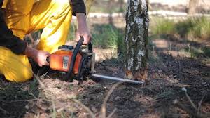 Lawn Drainage Solutions in Bear Creek Ranch, TX