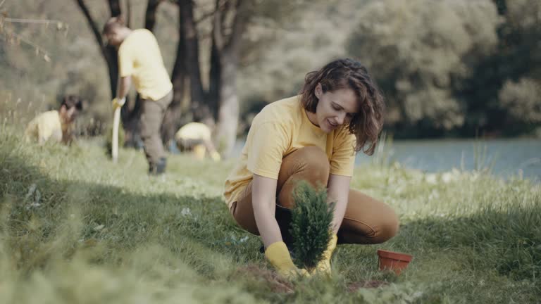 Lawn Maintenance Plans in Bear Creek Ranch, TX